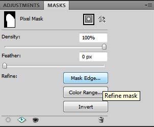 (HINT: Make sure the Layer Mask is selected in the Layers Palette to enable the Mask Edge button.