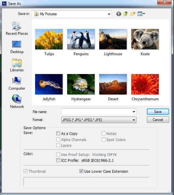 1.HOTSPOT Choose the correct file format in the Format menu that supports