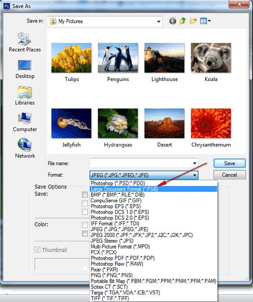 2.Which of the following file formats is a standard Windows image format on DOS and Windows-compatible computers? A. BMP B. Photoshop EPS C. Photoshop Raw D.