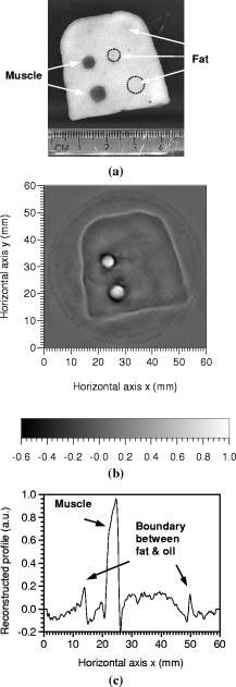 XU AND WANG: TIME-DOMAIN RECONSTRUCTION FOR THERMOACOUSTIC TOMOGRAPHY IN A SPHERICAL GEOMETRY 819 the condition simple filter is for the modified backprojection. A MHz MHz (26) otherwise. IV.