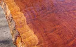 such as Cherry and Mahogany Good exterior resistance High quality Mahogany from well managed plantations Sustainably sourced Genuine Mahogany (Swietenia macrophylla) is grown in managed Fijian