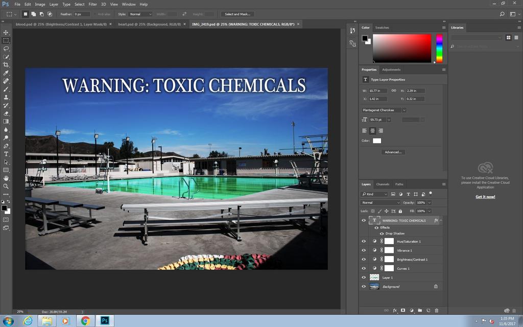 Toxins cont. In post-production, I experimented with adding text to this image. I wanted to emphasize the ironic claim that chemicals are being added to the pool.