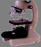 Compound Light Microscope Ocular lens (eyepiece)