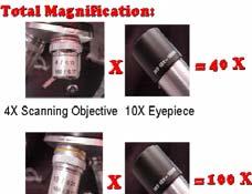 Microscope Ocular lens: magnification 10x