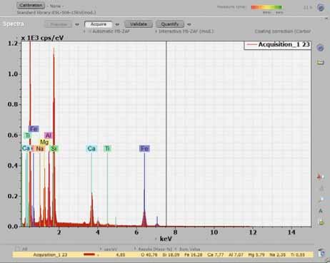 The QUANTAX real-time spectrometry capabilities facilitate this process. In the preview mode the spectrum is updated at intervals down to 100 milliseconds.