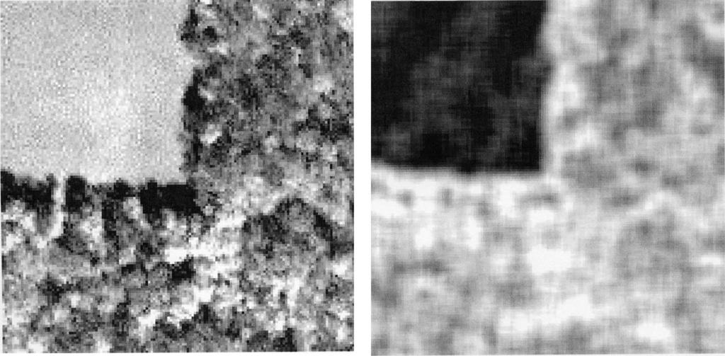 SHACKELFORD AND DAVIS: HIGH-RESOLUTION MULTISPECTRAL DATA OVER URBAN AREAS 1925 (a) (b) Fig. 3. (c) (d) Effect of entropy texture measure on classification of Grass and Tree classes. (a) Image subset.