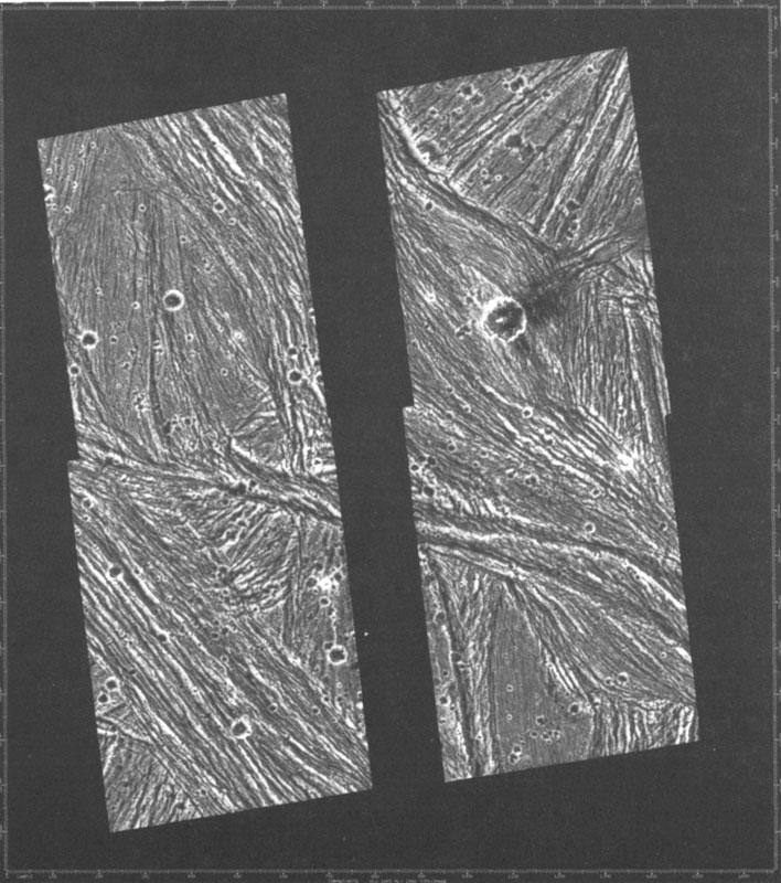 projected mosaic of the four Europa images
