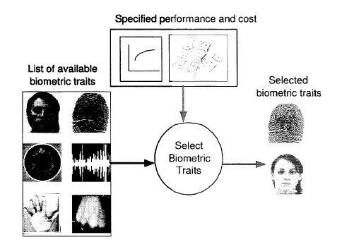 availability of another biometric trait, say iris, can aid in the inclusion of this individual in the identity management system.