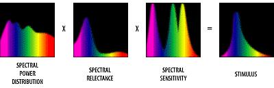 of color Subjective aspects of color perception Different persons may receive different stimuli