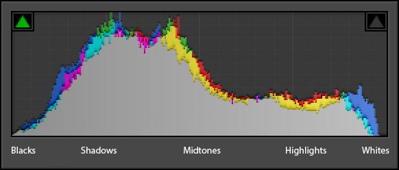 Understanding Histograms in Photography Histograms can be found in almost all image editing software.
