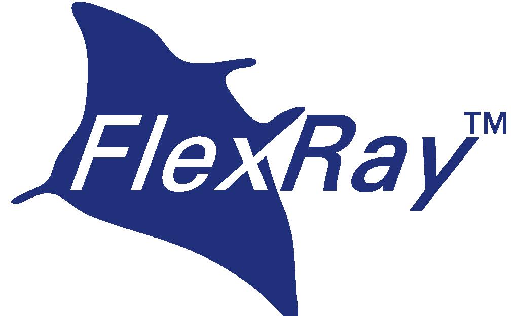 FlexRay Communications System Physical Layer Common
