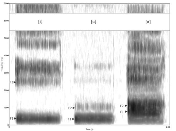The Ear is Not a Tape Recorder Formants: Frequency Band Decomposition of Human