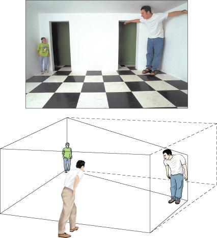 Perceptual Constancies A specially-built room that makes people seem to as they in it
