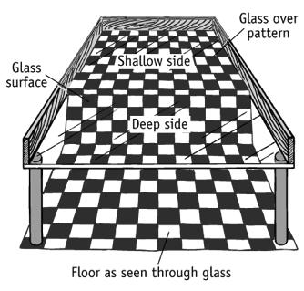 Inborn abilities: The visual cliff Critical periods Glass surface, with checkerboard underneath at different heights Visual illusion of a cliff Baby can t fall Mom stands across the gap.