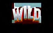Wilds are added to reels 3, 4 and 5