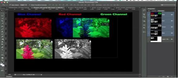 The black and white images refer to the red channel, the green channel and the blue channel.