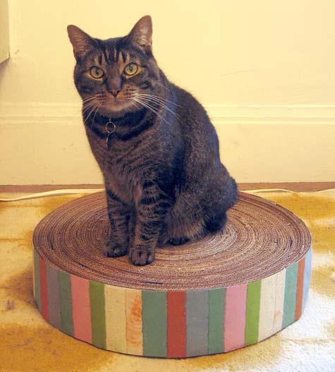Materials: CAT SCRATCH CIRCLE Cardboard boxes (all sizes, all kinds, at least 5 medium size boxes) Masking tape Scissors and ruler scrap paper, felt, or fabric Optional: decorative paper or fabric,