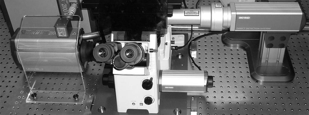 The multiphoton microscope The multiphoton laser Beam Conditioning Unit (BCU) Specimen Ti:S laser