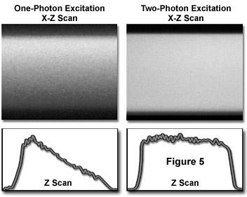 The multiphoton laser A pulsed laser with pulse width τ occuring at frequency f r increases the npe probability, compared to continuous-wave (CW) illumination, by a factor of: Imaging penetration