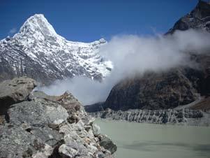 natural history of the Himalayan