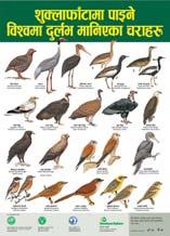 Some notable publications are; Wild Mammals of Nepal- A field guide for mammals of Nepal, Aandho Sarpa ko Khoji-
