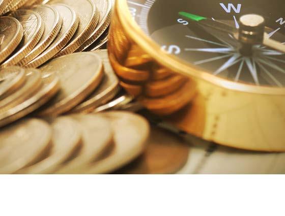These coins bolster your precious metals portfolio to protect you against volatility and to set you up for superior long-term growth, which is what makes a mixed portfolio of both bullion and