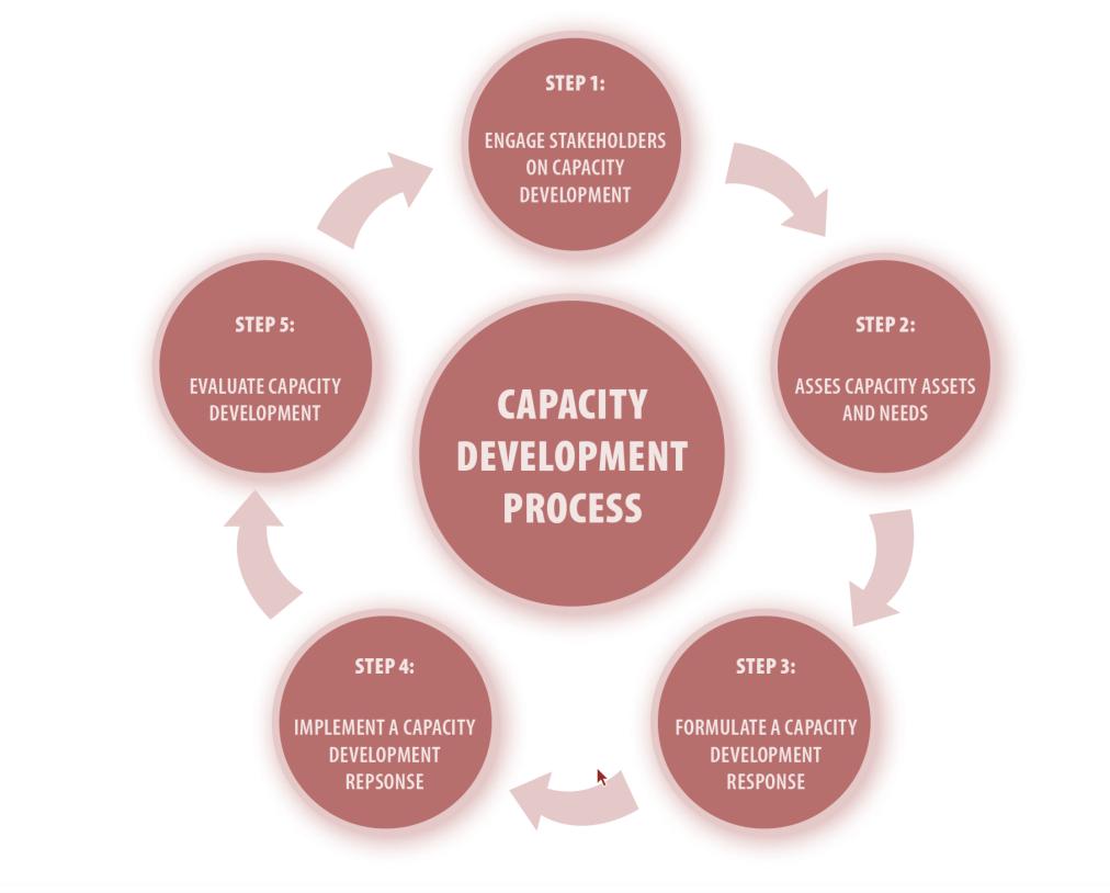 Building or development capacities?