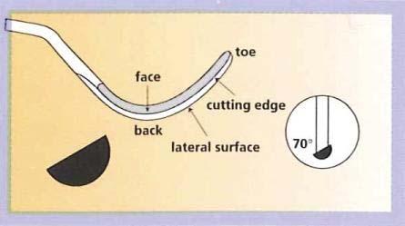 Sickle Scaler Universal Curette Gracey Curette Sharpening Sickle Scaler Sharpen both lateral (parallel) surfaces