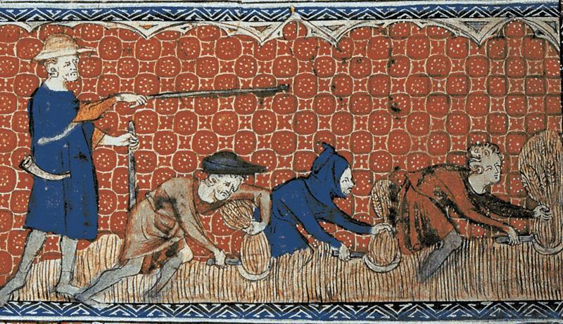 Feudal serfs of the middle ages had almost