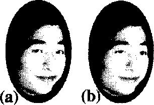 dently to provide realistic moving facial displays. Figure 3 shows samples of synthesized communicative facial displays (the agent). These are neutral, happiness, anger, sadness, surprise, and sleep.