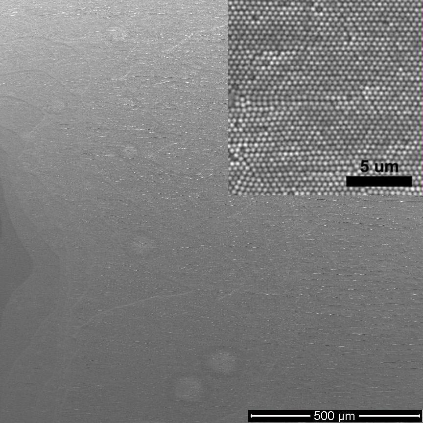 Figure S4: SEM image of a 500 nm PS film showing