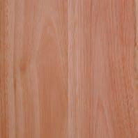 LYPTUS A hardwood with density similar to Hickory or Maple, with surface