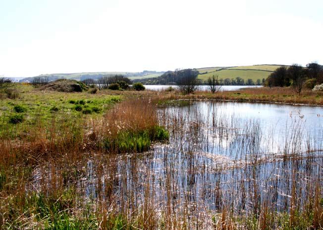 With such a difference in levels a dam could be put in place to prevent the Higher Ley habitats being affected by a breach occurring in the Lower Ley.