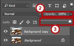 Figure 14 - Create a New Layer Layer Opacity Each layer has a variety of properties and possible effects.