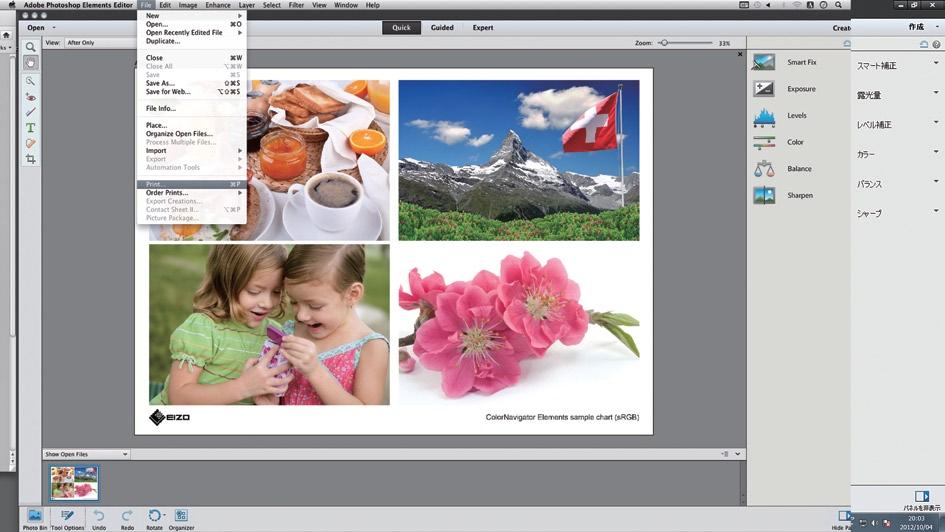 If Photoshop Elements is displayed full screen, click on the ColorNavigator Elements symbol on the task bar (Windows) or the dock (Mac OS) to