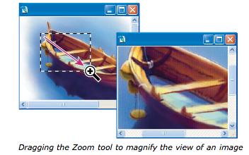 b. Select the Zoom tool, and click either the Zoom In or Zoom Out button in the options bar. Click the area you want to magnify. c. Magnify by dragging d.