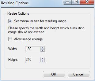 To enable resizing click Set button in Result Image Size box. In the Resizing options dialog box enable the corresponding checkbox and set the desired image size.