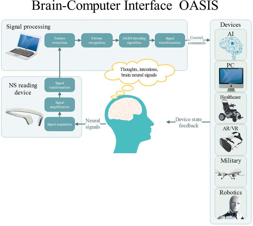 (input/output) of information between the brain and the computer.