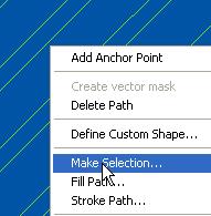 Make Selection [3]-Now in make selection feature, radius should