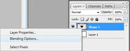 This style allows you to apply a pattern across any type of valid layer in Photoshop from Type Layers to