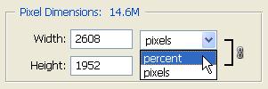 Once you've chosen "percent" as the means in which you want to resize your image, the width and height of your image will change to a percentage rather than a pixel value.