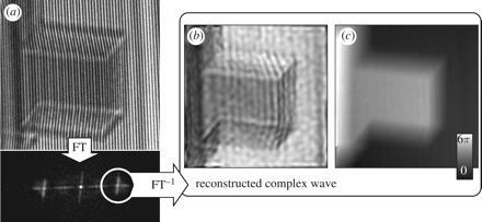 TEM Imaging modes Phase contrast image (High ResolutionTEM) It is based on interference between electrons transmitted and diffracted by the sample. sub-a level of resolution is possible.