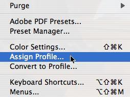 profile during image import using