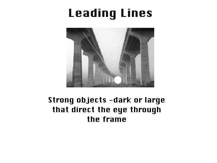 Another example of LINES, in this case we call them leading lines. The lines made by the freeway overpass draw our eye INTO the photo and off toward the ending point where the white dot was placed.