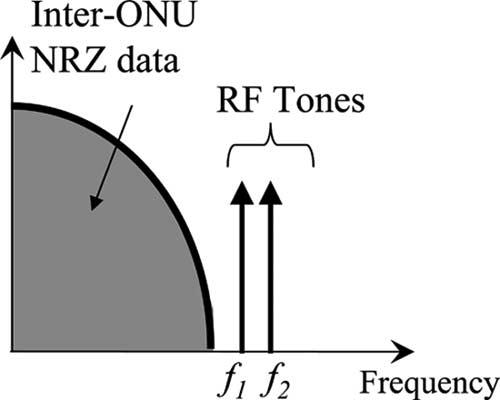 For a WDM-PON supporting M ONU-VPGs, log 2 M distinct RF tone frequencies are required at each ONU, such that the ON OFF pattern of the individual tones serves as the identification tag to