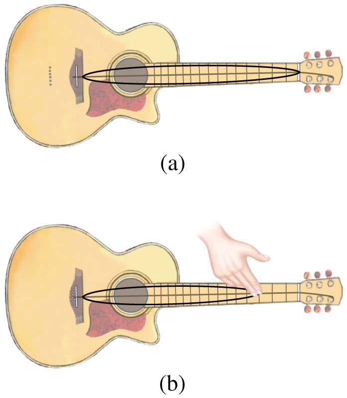 12-4 Sources of Sound: Vibrating Strings and Air Columns The strings on a guitar can be effectively shortened by fingering,