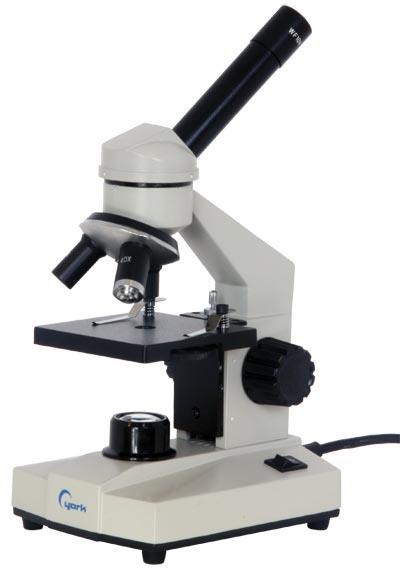 Microscopes help scientists learn more about cells.