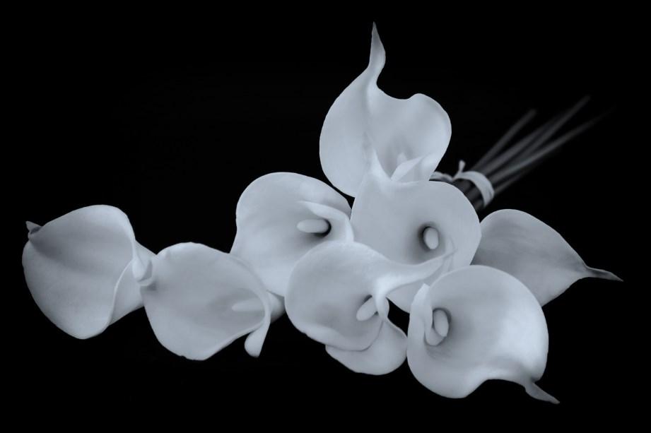SET B GRADE DIGITAL Page 7 CALLA LILLIES I like the composition and how you have laid the flower out and the shallow