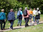 uk 01442 826774 NATURE DAY Sat 14 July 11am-4pm Medbourne Pavilion and Shenley Wood FREE Join The Parks Trust, MK Natural History Society and Berks, Bucks & Oxon Wildlife Trust for a day dedicated to