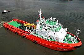 000 m 15 39 37 (1) 65 (2) Supply and Special Vessel 287 423 479 568 Production Platforms (SS and FPSO) 44 54 61 94 Others